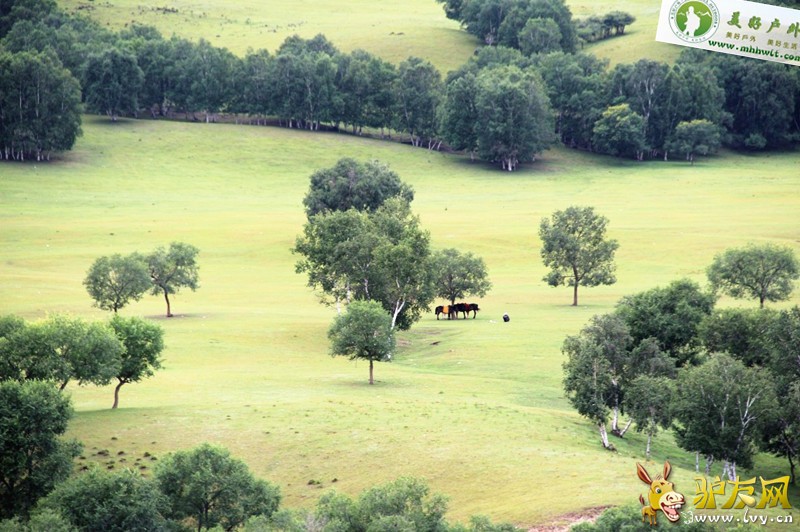 0818-0820��Ұ����֮���ϲ�ԭ 070.jpg